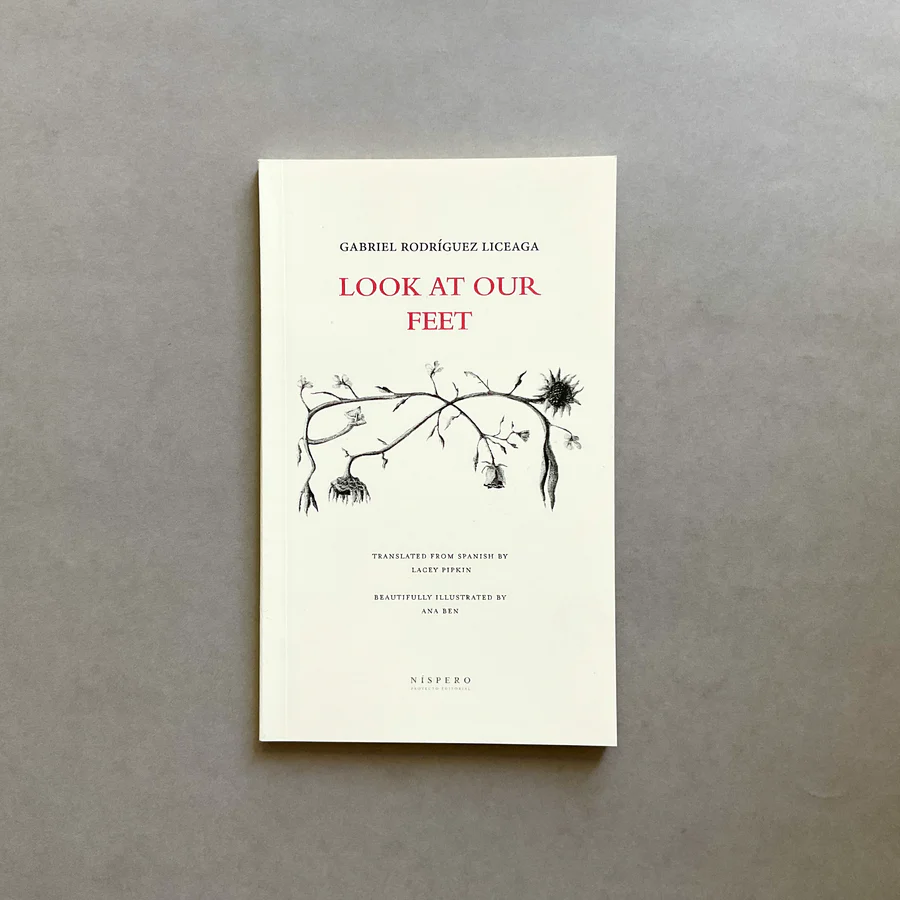 Look at our feet Book Cover
